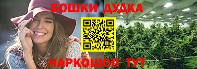 шишки Партизанск